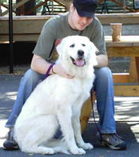 File: adoption.jpg